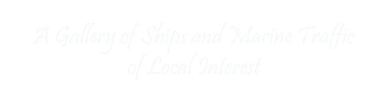 Banner for Local Shipping